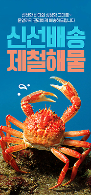 JPG 편집이미지 바다 컬러 자연 갑각류 요리 식사 신선 맛 저녁 해산물 제철 홍게 이미지편집 AI컴퓨터그래픽 AI콘텐츠 동물 컨셉 게 야간 생태계 파일형식