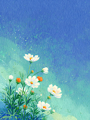 JPG 식물 꽃 화초 여유 예술 컬러 꽃밭 일러스트 자연 생명 수채화 풍경 잔디 정원 봄 코스모스 화사함 뷰티풀 국내일러스트 AI일러스트 AI콘텐츠 계절 감정 컨셉 생태계 파일형식