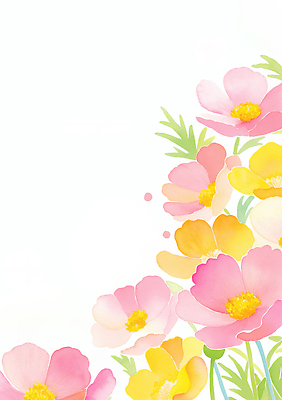 JPG 식물 디자인 꽃 분홍색 컬러 잎 꽃밭 일러스트 자연 생명 풍경 햇빛 노란색 정원 봄 코스모스 화사함 뷰티풀 테마 차분 국내일러스트 AI일러스트 AI콘텐츠 계절 컨셉 태양 생태계 파일형식