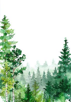 JPG 나무 식물 일러스트 자연 생명 날씨 풍경 초록색 햇빛 환경 고요 습기 숲 그림 조화 뷰티풀 수목 청정 풍요 국내일러스트 AI일러스트 AI콘텐츠 컬러 컨셉 태양 생태계 파일형식