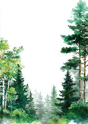 JPG 나무 식물 여유 일러스트 자연 하늘 생명 아침 풍경 초원 야외 파란색 환경 고요 안개 숲속 숲 수목 국내일러스트 AI일러스트 AI콘텐츠 주간 감정 컬러 날씨 생태계 파일형식