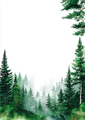 JPG 나무 식물 여행 일러스트 자연 하늘 아침 날씨 풍경 파란색 평화 환경 고요 탐험 안개 신선 숲 생태계 재생 울창 국내일러스트 AI일러스트 AI콘텐츠 주간 컬러 컨셉 파일형식