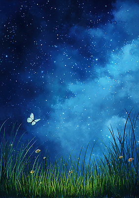JPG 별 여유 나비 일러스트 자연 밤하늘 하늘 생명 풍경 초원 여름 평화 꿈 달빛 은하수 조화 뷰티풀 색감 여름밤 차분 국내일러스트 AI일러스트 AI콘텐츠 자연요소 계절 감정 곤충 컨셉 달 야간 생태계 파일형식