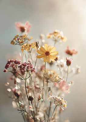 JPG 편집이미지 꽃 예술 컬러 꽃다발 부케 자연 생명 장식 인테리어 평화 공간 감성 드라이플라워 뷰티풀 편집실사 AI포토 AI콘텐츠 식물 디자인 컨셉 CG 생태계 파일형식