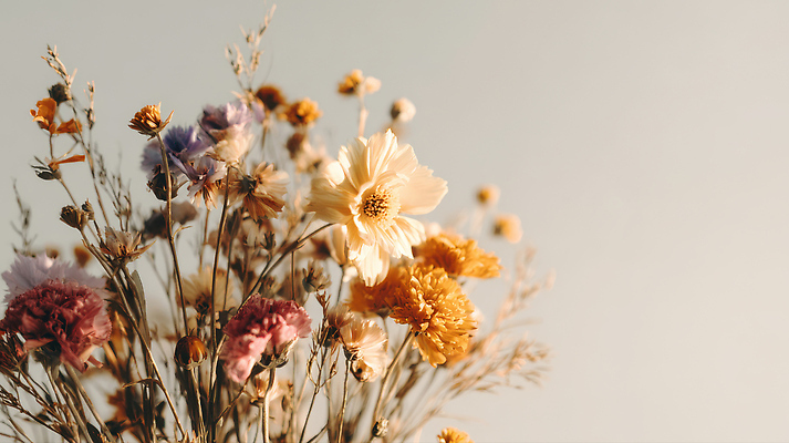 JPG 편집이미지 컬러 꽃다발 자연 실내 장식 빛 평화 심플 조화 드라이플라워 뷰티풀 순간 편집실사 AI포토 AI콘텐츠 꽃 컨셉 내부 CG 생태계 파일형식