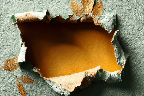 JPG 편집이미지 디자인 종이 예술 컬러 백그라운드 재료 자연 벽지 나뭇잎 장식 공간 균열 질감 감성 찢어짐 창의성 편집실사 AI포토 AI콘텐츠 컨셉 잎 모션 CG 생태계 파일형식