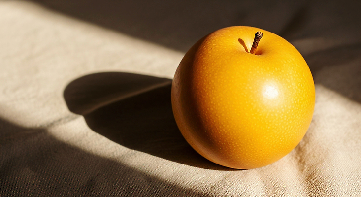 JPG 식물 편집이미지 음식 과일 자연 디저트 건강 여름 빛 햇빛 농장 노란색 신선 배 그늘 유기농 편집실사 AI포토 AI콘텐츠 웰빙 계절 컬러 농업 태양 CG 생태계 파일형식