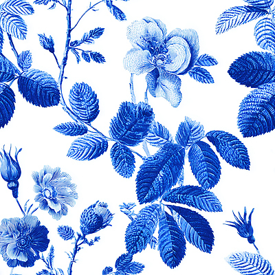 JPG 식물 디자인 꽃 예술 컬러 잎 패턴 일러스트 자연 장식 파란색 장미 흰색 우아함 입체 조화 비율 뷰티풀 시각효과 패브릭 국내일러스트 AI일러스트 AI콘텐츠 트왈드주이 컨셉 무늬 직물 생태계 파일형식 효과