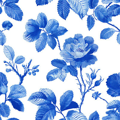 JPG 식물 디자인 꽃 예술 백그라운드 잎 패턴 일러스트 자연 미술 그래픽 장식 파란색 장미 흰색 우아함 뷰티풀 세련 국내일러스트 AI일러스트 AI콘텐츠 트왈드주이 컬러 컨셉 무늬 문화예술 생태계 파일형식