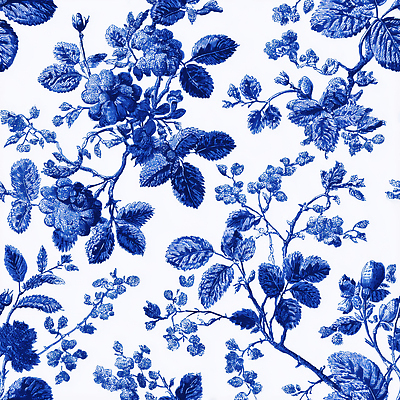 JPG 식물 디자인 열매 예술 백그라운드 잎 꽃무늬 패턴 일러스트 자연 장식 파란색 흰색 고급 제조 질감 뷰티풀 세련 국내일러스트 AI일러스트 AI콘텐츠 트왈드주이 꽃 컬러 컨셉 무늬 생태계 파일형식