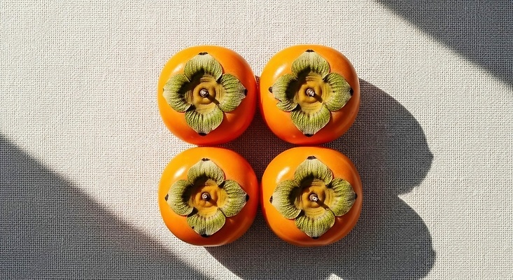 JPG 편집이미지 디자인 꽃무늬 과일 자연 식탁 아침 조명 감 장식 여름 노란색 신선 오브젝트 뷰티풀 편집실사 AI포토 AI콘텐츠 주간 계절 꽃 컬러 무늬 탁자 CG 생태계 파일형식