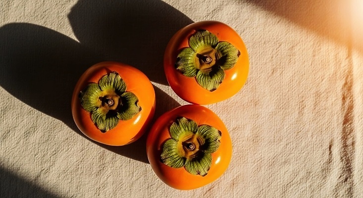 JPG 편집이미지 과일 자연 식탁 디저트 건강 감 농작물 햇빛 노란색 정원 식사 달콤 담요 프레젠테이션 오후 편집실사 AI포토 AI콘텐츠 음식 컬러 농업 탁자 태양 맛 CG 생태계 파일형식