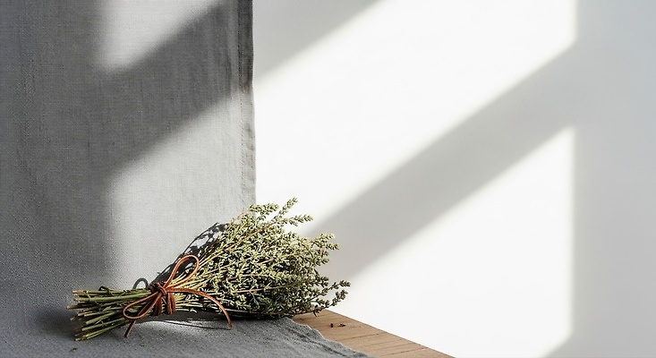 JPG 식물 편집이미지 컬러 백그라운드 자연 조명 그림자 장식 인테리어 햇빛 갈색 공간 삼각형 편안함 드라이플라워 편집실사 AI포토 AI콘텐츠 코티지코어 도형 디자인 꽃 태양 유행 감각 CG 생태계 파일형식