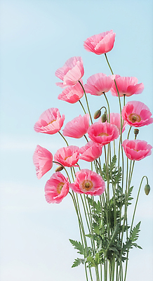 JPG 식물 편집이미지 꽃잎 꽃 감정 분홍색 꽃다발 자연 하늘 생명 풍경 초록색 정원 봄 양귀비 뷰티풀 편집실사 AI포토 AI콘텐츠 계절 컬러 CG 생태계 파일형식