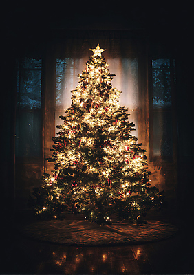 JPG 나무 편집이미지 별 크리스마스 겨울 가족 실내 따뜻함 장식 빛 크리스마스트리 축제 어둠 방 분위기 편집실사 AI포토 AI콘텐츠 자연요소 식물 계절 기념일 컨셉 관계 내부 CG 파일형식
