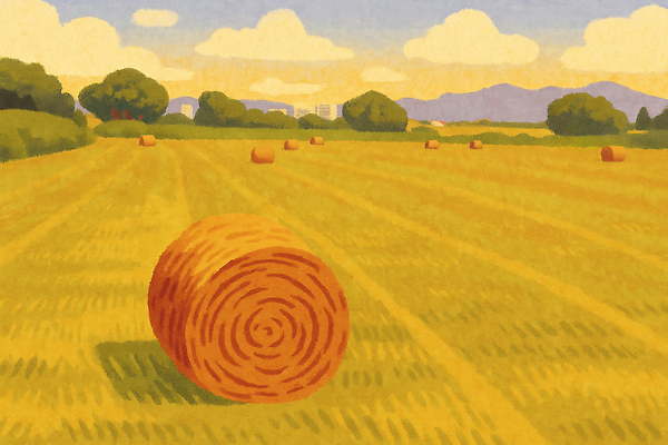 JPG 농업 일러스트 자연 하늘 날씨 산 풍경 초원 여름 농작물 농장 환경 일몰 금색 수확 가을 시골 원형 건초 국내일러스트 AI일러스트 AI콘텐츠 도형 계절 산업 컬러 노을 생태계 파일형식