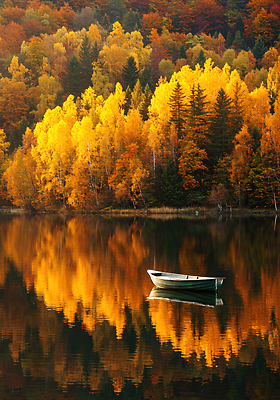 JPG 나무 편집이미지 호수 여유 컬러 여행 자연 풍경 반사 평화 노을 탐험 가을 감성 뷰티풀 편집실사 AI포토 AI콘텐츠 자연요소 식물 계절 감정 컨셉 CG 생태계 파일형식