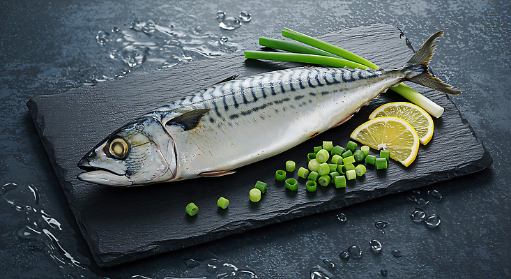 JPG 편집이미지 바다 재료 자연 어류 요리 신선 클래퍼보드 레몬 해산물 레시피 파 고등어 편집실사 AI포토 AI콘텐츠 채소 과일 수중동물 CG 생태계 파일형식