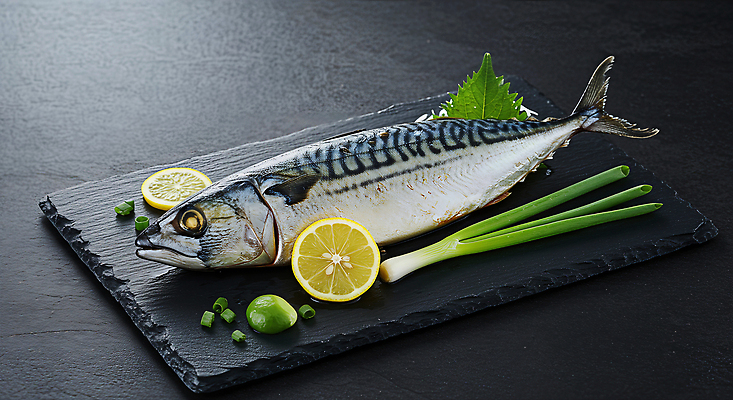 JPG 편집이미지 접시 음식 재료 어류 요리 신선 상차림 레몬 해산물 레시피 파 건강식 꽁치 편집실사 AI포토 AI콘텐츠 식기 채소 과일 수중동물 CG 파일형식