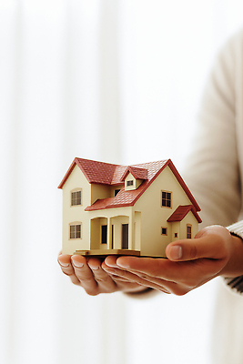 JPG 편집이미지 손 디자인 건축 부동산 주택 사람 생활 인테리어 오브젝트 DIY 관심 의료성형뷰티 거주 편집실사 AI인물포토 AI콘텐츠 취미 건물 신체부위 재산 CG 파일형식 AI포토