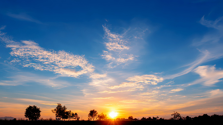 JPG 나무 편집이미지 여유 자연 하늘 날씨 풍경 태양 평화 노을 일몰 저녁 뷰티풀 편집실사 AI포토 AI콘텐츠 자연요소 식물 감정 컨셉 야간 CG 생태계 파일형식