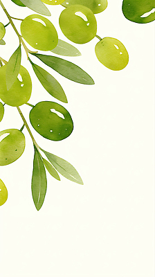 JPG 식물 예술 백그라운드 잎 농업 일러스트 자연 가지 수채화 건강 장식 초록색 여름 농장 농사 신선 유기농 올리브 비타민 뷰티풀 국내일러스트 AI일러스트 AI콘텐츠 웰빙 계절 열매 산업 컬러 채소 생태계 영양소 파일형식