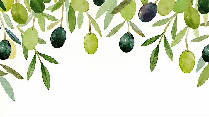 JPG 나무 식물 디자인 열매 예술 컬러 백그라운드 잎 일러스트 자연 가지 수채화 장식 초록색 검은색 그림 올리브 조화 국내일러스트 AI일러스트 AI콘텐츠 채소 생태계 파일형식