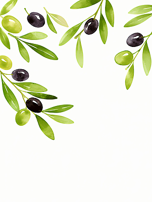 JPG 식물 디자인 예술 백그라운드 잎 농업 일러스트 자연 수채화 그래픽 장식 초록색 여름 수확 신선 올리브 화사함 감성 조화 뷰티풀 국내일러스트 AI일러스트 AI콘텐츠 계절 열매 산업 컬러 컨셉 생태계 파일형식