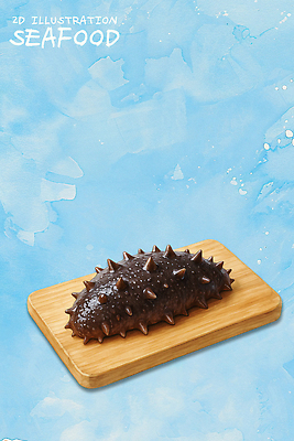 PSD 디자인 예술 음식 바다 컬러 일러스트 자연 도마 건강 어류 요리 식사 수중동물 해산물 비타민 해삼 국내일러스트 동물 주방용품 생태계 영양소 파일형식