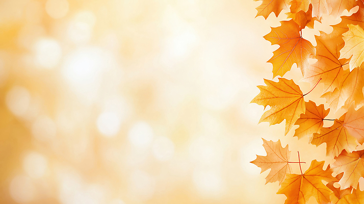 JPG 나무 편집이미지 계절 컬러 백그라운드 단풍 잎 자연 따뜻함 풍경 햇빛 노란색 고요 가을 변화 뷰티풀 이미지편집 AI컴퓨터그래픽 AI콘텐츠 식물 컨셉 태양 생태계 파일형식