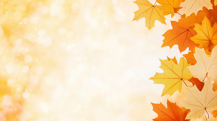 JPG 나무 편집이미지 계절 컬러 단풍 잎 자연 따뜻함 풍경 빛 햇빛 고요 가을 뷰티풀 이미지편집 AI컴퓨터그래픽 AI콘텐츠 식물 태양 생태계 파일형식