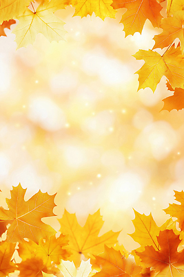 JPG 편집이미지 계절 백그라운드 단풍 잎 자연 하늘 나뭇잎 따뜻함 풍경 빛 햇빛 노란색 산책 가을 뷰티풀 이미지편집 AI컴퓨터그래픽 AI콘텐츠 식물 컬러 휴식 태양 생태계 파일형식