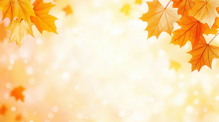 JPG 편집이미지 계절 단풍 잎 크리스마스 자연 나뭇잎 따뜻함 풍경 빛 반짝임 햇빛 노란색 가을 숲 흩날리기 이미지편집 AI컴퓨터그래픽 AI콘텐츠 식물 기념일 컬러 모션 태양 생태계 파일형식