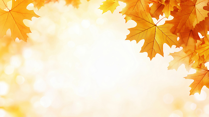 JPG 편집이미지 계절 공원 열매 컬러 단풍 잎 자연 나뭇잎 풍경 빛 평화 가을 숲 뷰티풀 한가함 이미지편집 AI컴퓨터그래픽 AI콘텐츠 식물 공공시설 컨셉 생태계 파일형식