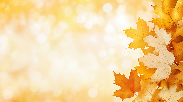 JPG 편집이미지 계절 백그라운드 단풍 자연 나뭇잎 풍경 빛 평화 가을 분위기 변화 뷰티풀 색감 이미지편집 AI컴퓨터그래픽 AI콘텐츠 컨셉 잎 생태계 파일형식