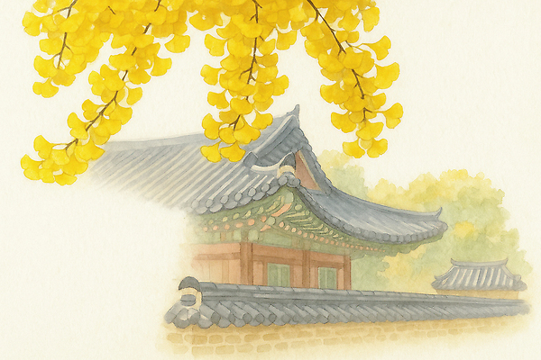 JPG 나무 한국전통 전통 건축물 문화 잎 일러스트 자연 하늘 가지 한옥 한국 돌담 풍경 여름 빛 정원 고요 궁전 가을 역사 은행나무 뷰티풀 기와담장 국내일러스트 AI일러스트 AI콘텐츠 식물 계절 건축 아시아 고건축 채소 기와 담장 돌_바위 생태계 파일형식