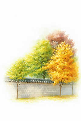 JPG 모양 나무 한국전통 전통 컬러 잎 일러스트 자연 한옥 풍경 담장 햇빛 평화 정원 고요 궁전 가을 소나무 화사함 뷰티풀 오후 기와담장 국내일러스트 AI일러스트 AI콘텐츠 식물 계절 컨셉 고건축 한국 기와 태양 생태계 파일형식