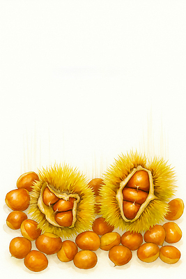 JPG 식물 열매 음식 과일 일러스트 재료 자연 디저트 바닥 털 초록색 갈색 금색 수확 껍질 원형 테두리 풍요 국내일러스트 AI일러스트 AI콘텐츠 도형 컬러 컨셉 농업 생태계 파일형식