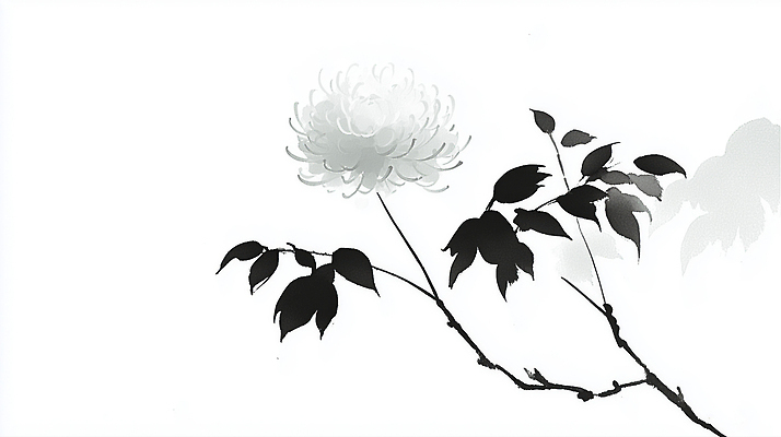 JPG 모양 식물 디자인 계절 꽃 예술 컬러 잎 일러스트 자연 생명 가지 추상 국화 수묵화 검은색 흰색 우아함 장면 애도 조화 단순화된 뷰티풀 추모 국내일러스트 AI일러스트 AI콘텐츠 컨셉 무늬 채소 미술 생태계 파일형식