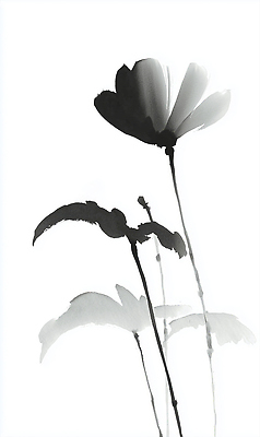 JPG 식물 전통 꽃 예술 선 일러스트 자연 수채화 흑백 회화 수묵화 표현 붓 우아함 스케치 그림 한국화 뷰티풀 국내일러스트 AI일러스트 AI콘텐츠 컨셉 촬영기법 말하기 미술 동양화 생태계 파일형식