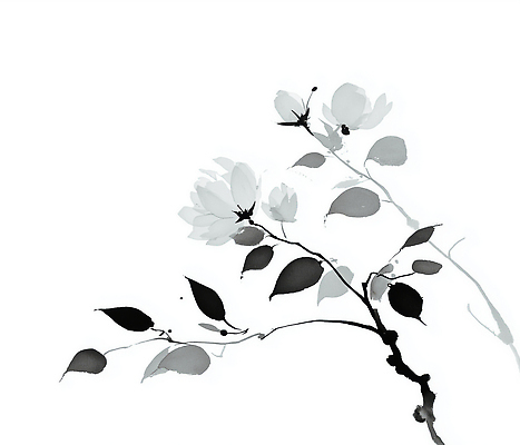 JPG 디자인 꽃 예술 컬러 잎 일러스트 자연 생명 나뭇잎 수채화 흑백 수묵화 우아함 모던 그림 심플 조화 뷰티풀 정물화 국내일러스트 AI일러스트 AI콘텐츠 식물 컨셉 촬영기법 미술 생태계 파일형식