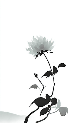JPG 식물 디자인 꽃 예술 선 줄기 컬러 백그라운드 잎 일러스트 자연 수묵화 미술 검은색 회색 흰배경 그림 윤곽 단순화된 뷰티풀 국내일러스트 AI일러스트 AI콘텐츠 문화예술 흰색 생태계 파일형식
