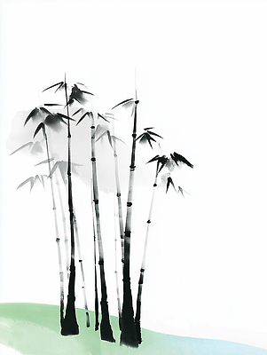 JPG 식물 전통 문화 예술 일러스트 자연 생명 붓터치 수묵화 풍경 잔디 초록색 평화 고요 공간 숲 먹 대나무 명상 흰배경 한국화 조화 대나무숲 대나무잎 뷰티풀 국내일러스트 AI일러스트 AI콘텐츠 나무 컬러 백그라운드 컨셉 잎 서예 미술 흰색 동양화 생태계 파일형식