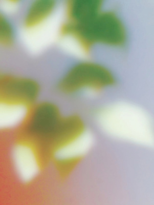 JPG 식물 여유 잎 일러스트 자연 나뭇잎 건강 장식 초록색 빛 평화 환경 공간 흐름 편안함 힐링 부드러움 감성 공기정화 국내일러스트 AI일러스트 AI콘텐츠 감정 컬러 컨셉 감각 생태계 정화 파일형식