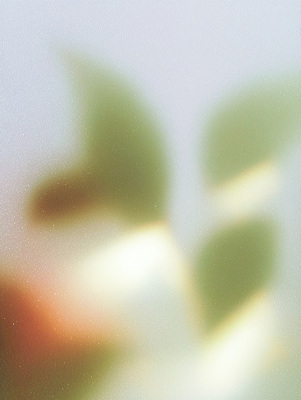 JPG 식물 여유 백그라운드 잎 일러스트 자연 생명 아침 나뭇잎 초록색 빛 반짝임 평화 흐름 분위기 감성 조화 흐림 색감 차분 국내일러스트 AI일러스트 AI콘텐츠 주간 감정 컬러 컨셉 모션 날씨 생태계 파일형식