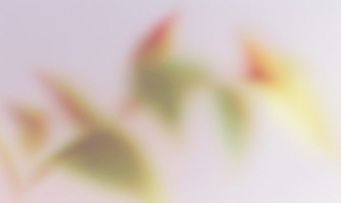 JPG 식물 여유 예술 컬러 잎 일러스트 자연 생명 나뭇잎 풍경 초록색 환경 흐름 부드러움 감성 조화 흐림 뷰티풀 색감 국내일러스트 AI일러스트 AI콘텐츠 감정 컨셉 날씨 감각 생태계 파일형식