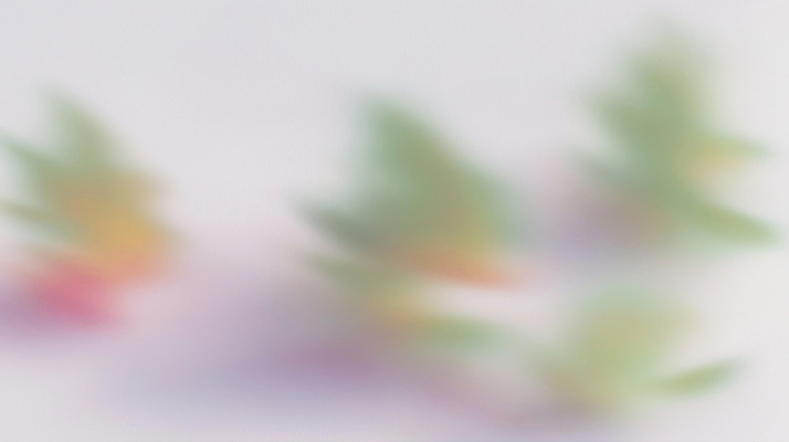 JPG 모양 식물 화초 컬러 백그라운드 잎 일러스트 자연 생명 나뭇잎 초록색 평화 환경 정원 흐름 성장 분위기 편안함 원예 감성 흐림 심리 국내일러스트 AI일러스트 AI콘텐츠 컨셉 날씨 취미 감각 생태계 파일형식