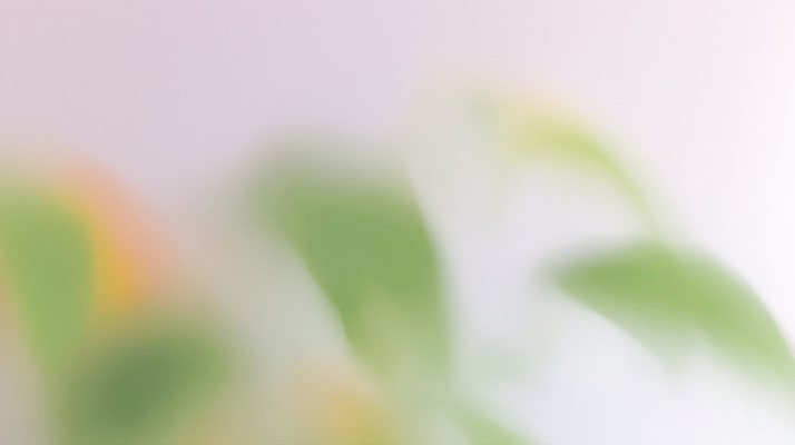 JPG 식물 화초 여유 일러스트 자연 나뭇잎 조명 실내 장식 초록색 환경 공간 흐름 분위기 편안함 감성 조화 색감 차분 국내일러스트 AI일러스트 AI콘텐츠 감정 컬러 컨셉 잎 내부 감각 생태계 파일형식