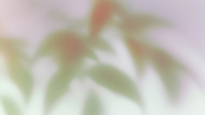 JPG 식물 감정 실루엣 백그라운드 일러스트 자연 생명 나뭇잎 초록색 빛 평화 고요 흐름 시간 일과 감성 조화 흐림 소통 뷰티풀 색감 국내일러스트 AI일러스트 AI콘텐츠 컬러 컨셉 잎 날씨 촬영기법 생태계 파일형식