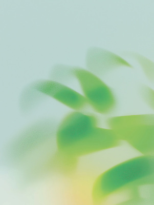 JPG 모양 식물 실루엣 여유 컬러 백그라운드 일러스트 자연 생명 나뭇잎 초록색 평화 환경 공간 흐름 광선 분위기 구출 편안함 부드러움 감성 조화 국내일러스트 AI일러스트 AI콘텐츠 감정 컨셉 잎 촬영기법 도움 감각 생태계 파일형식